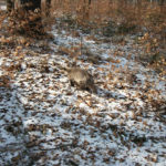 DSCF0954