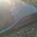 wjechal_w_ogrodzenie_przestraszyl_sie_pajaka_2