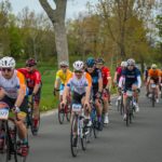 60625584_259010164915902_7751674361571966976_o