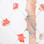 _X4A4473-Edit