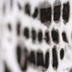 _X4A4495-Edit