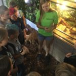 66841415_336368917242432_4772006083751313408_n