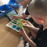 67182420_2441529715939801_6079186948021288960_n