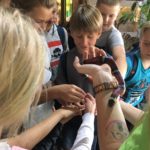 67296234_357050651900818_8669202551364648960_n