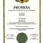 promesa2