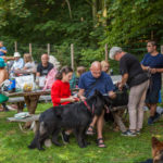 IMG_9366