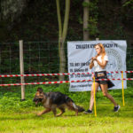 IMG_9382