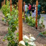 060919_final_funduszu_toyoty_walbrzyskie_towarzystwo_oswiatowe_eko_04UGdST