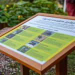 060919_final_funduszu_toyoty_walbrzyskie_towarzystwo_oswiatowe_eko_1t87jN4