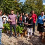 060919_final_funduszu_toyoty_walbrzyskie_towarzystwo_oswiatowe_eko_YG9Oj2l