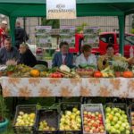 69974535_3027917520582926_7093512696959598592_o