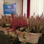 70672734_907534999618329_6937551392080920576_n