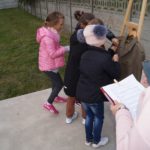 70698610_2146648518967411_206527526812516352_o