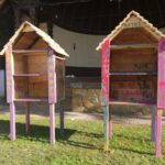 71277769_2247271502231036_1499671574670737408_o