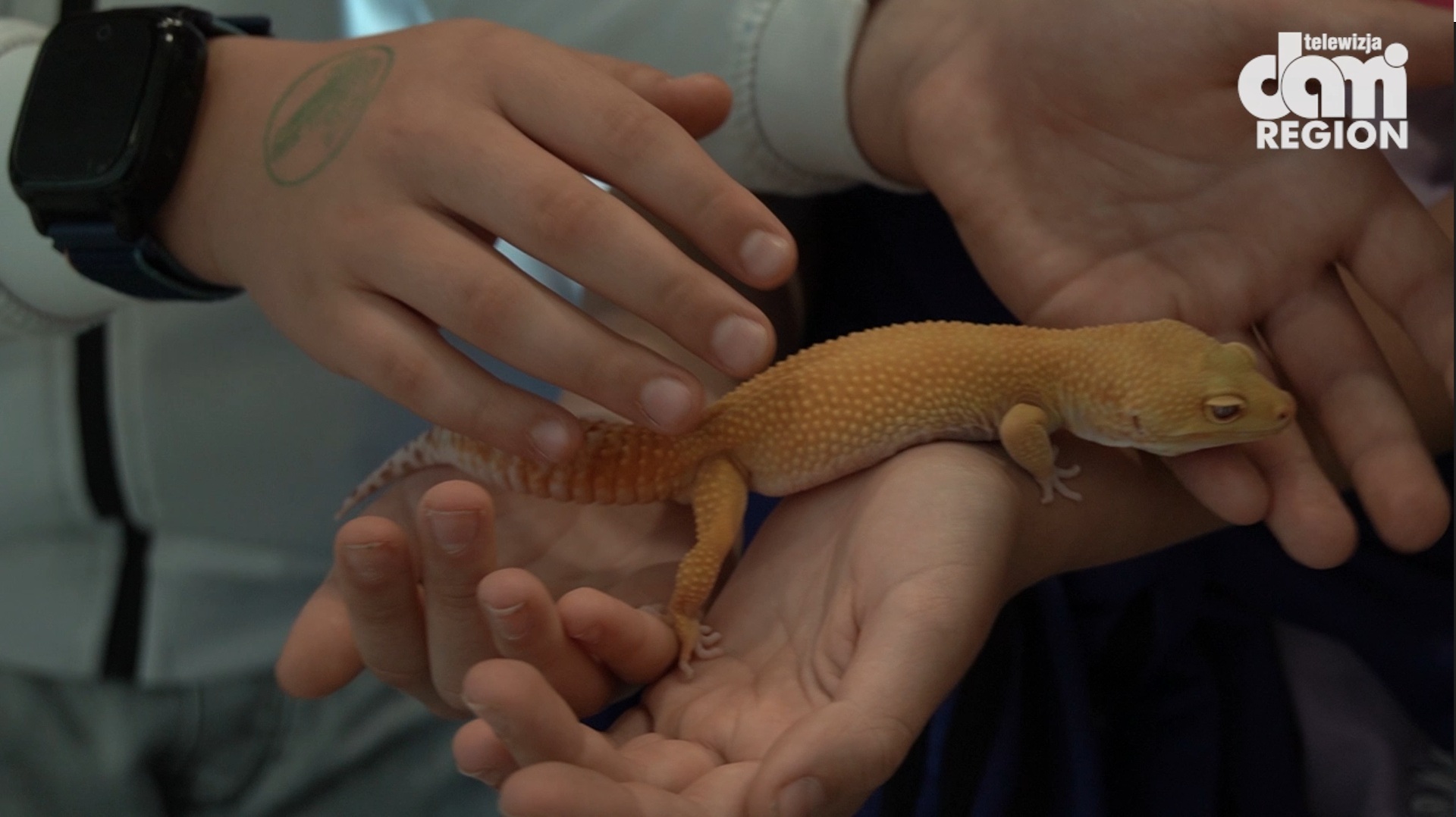 Egzotyczne zwierzęta na Exoticarium