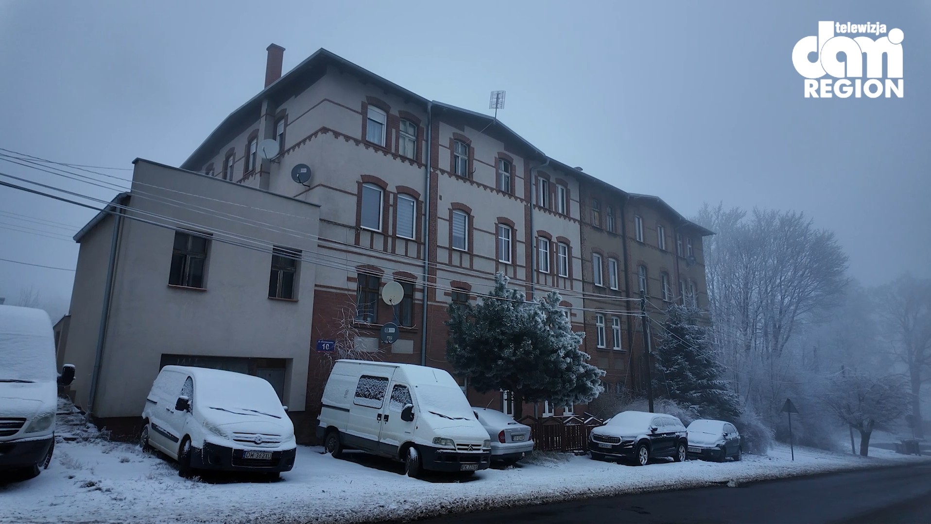 Czy MZB posiada niezagrzybione mieszkania?