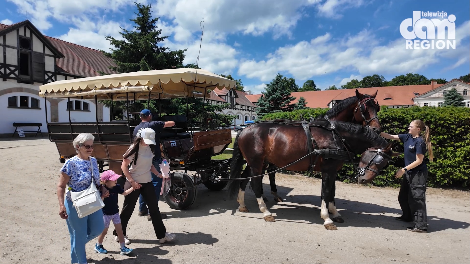 Aktywny Dzień Dziecka w Stadzie Ogierów Książ